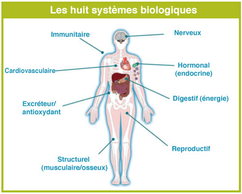 Body_8_Biological_Systems_fr