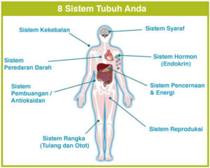 Body_8_Biological_Systems_indonesia